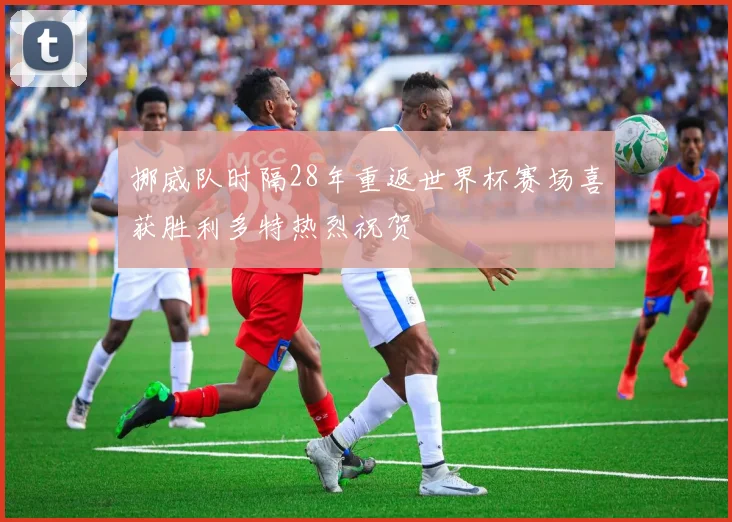 挪威队时隔28年重返世界杯赛场喜获胜利多特热烈祝贺